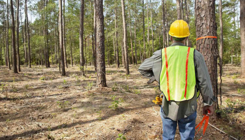 forest van vibhag vacancy